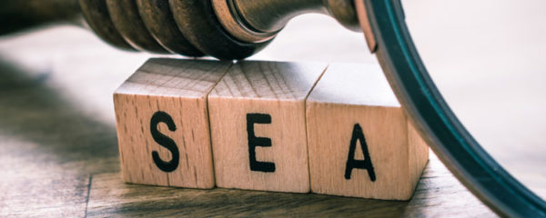 Search Engine Advertising