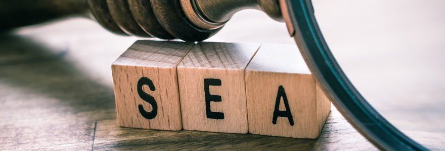 Search Engine Advertising